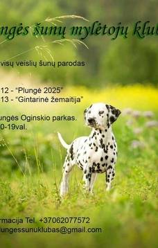 Dog Shows (CAC) "PLUNGĖ 2025" and "GINTARINĖ ŽEMAITIJA 2025"