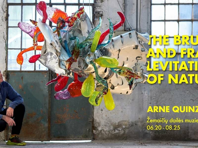 ARNE QUINZE - The Brutal and Fragile Levitation of Nature