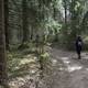 Hiking – cycling trails around Ilgis Lake