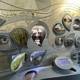 Centre of Visitors/Exhibition “The Mysteries of Žemaitija land”